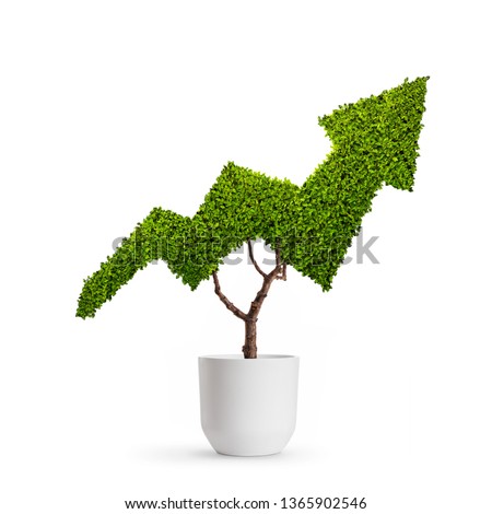 Plant growing in the shape of an arrow isolated on white background Royalty-Free Stock Photo #1365902546