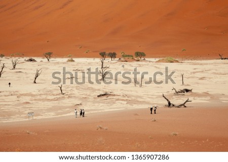 Sossusvlei is a salt and clay pan surrounded by high red dunes,  located in  namibia