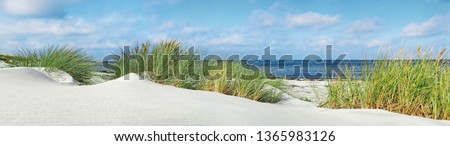 Baltic Sea Beach with Sand Dunes, Ocean View. Sunny Weather with Clouds. Ostsee Panorama. Royalty-Free Stock Photo #1365983126