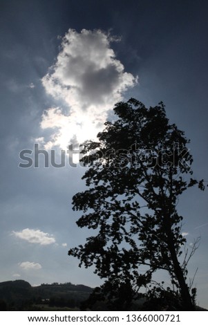 sun behind cloud tree silhouette