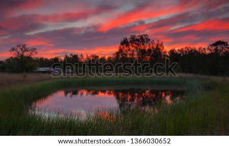 Beautiful,coloured,sunset,reflected on dam surface. Scenic old wooden, slabbed hut in background. Sedgefield near Singleton ,Hunter Valley, N.S.W. Australia.