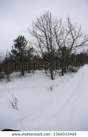 Natural winter landscapes in Poland