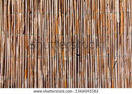 old bulrush fence, horizontal bright abstract surface texture background