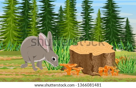 European hare sitting near the stump in the forest. Spruce trees and grass, chanterelle mushrooms. Wild animals of Eurasia, USA and Scandinavia. Strix aluco. Realistic Vector Landscape