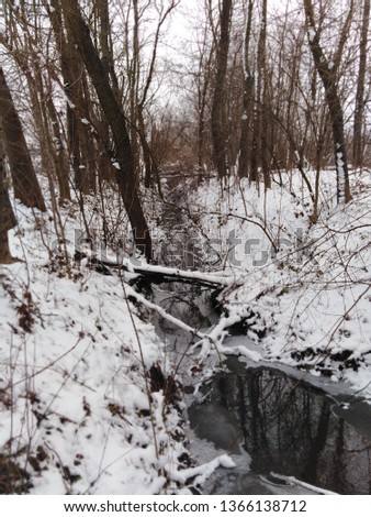 A winter water stream partially frozen with a tree fallen across