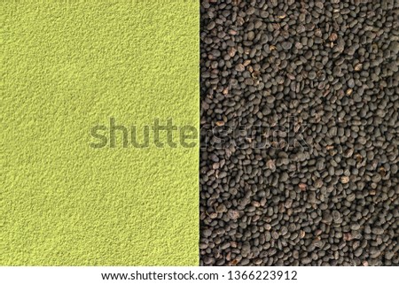 Matcha and babchi (Psoralea Corylifolia) seed textures close up view from top. Half screen, flat lay, space for text, design template. Matcha and Bakuchiol in cosmetics concept.
