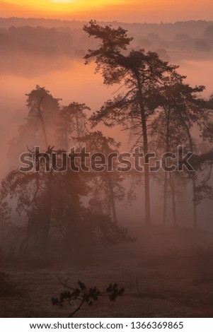 Sunrise at the Posbank. A national park in the Netherlands.
