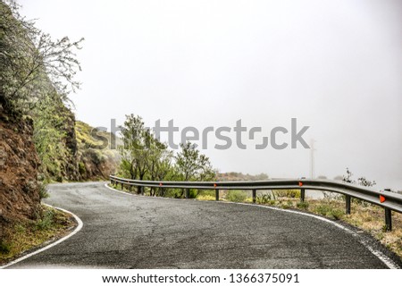 Summer road with fog and free space for your decoration. 