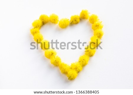 Hearth symbol made by mimosa flower. Valentine's day love concept.