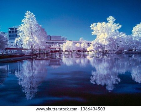 infrared photography - Hut in the water