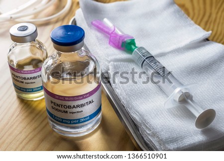 Vial with pentobarbital Sodium injection used for euthanasia and lethal inyecion in a hospital, conceptual image Royalty-Free Stock Photo #1366510901