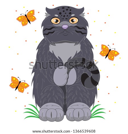 Modest cat manul on a meadow with butterflies