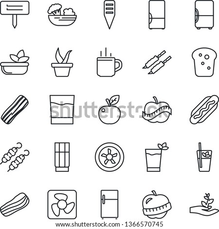 Thin Line Icon Set - hot cup vector, seedling, plant label, diet, fridge, drink, phyto bar, salad, bacon, bread, kebab, dog, apple fruit, fan, palm sproute