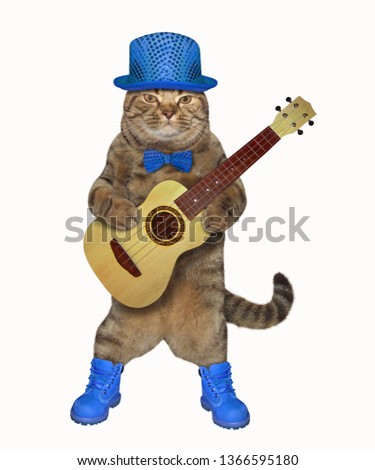 The cat in a blue hat, a bow tie and boots is playing the acoustic guitar. White background. Isolated.