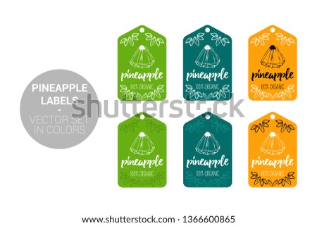 Pineapple fruit Eco labels vector set in green, dark green and orange colors. Cartoon Advertising hundred percent organic Stickers. Tropical fruit Badges with Hand drawn pineapple and little leaves.