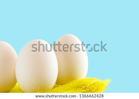 White eggs in the nest. Easter holiday decorations , Easter concept background.
