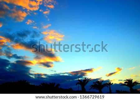 Blue sky with light yellow clouds over a palm alley during a winter sunset in Grottammare