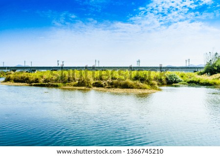 River scenery in spring