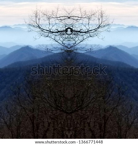 Abstract Photo Collage of Winter Tree Branches Silhouette and Clouds 11