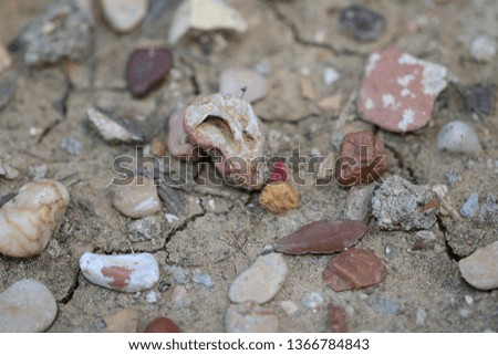 Rocks Leaves and Gravel Debres