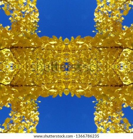 Abstract Photo Collage of Yellow Ginko Leaves and Blue Sky 11