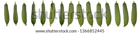 Fifteen zucchini or courgettes isolated on white background. The collection of zucchini. Sharp and high resolution image.