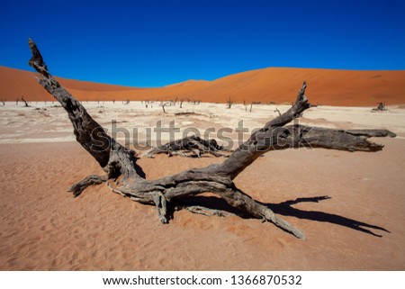 Sossusvlei is a salt and clay pan surrounded by high red dunes, located in  namibia