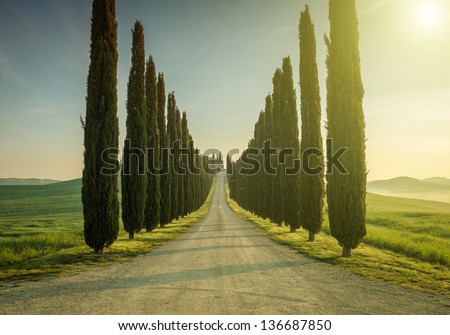 Tuscany, Landscape. Italy Royalty-Free Stock Photo #136687850