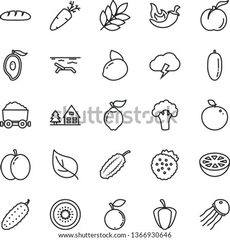 thin line vector icon set - storm cloud vector, loaf, cucumber, chili, carrot, strawberries, ripe peach, apple, quince, blueberry, half of mango, date fruit, yellow lemon, kiwi, delicious, pepper