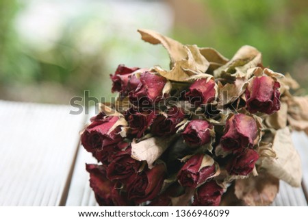 A picture of rose dry flower that are good for the background screen.