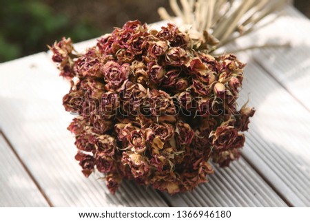 A picture of rose dry flower that are good for the background screen.