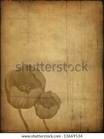 Vintage background image with flower,  plenty of space for text