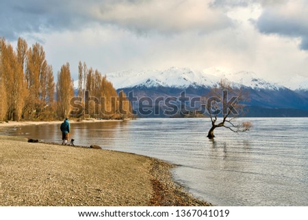 Photographer is shooting Wanakatree at lake wanaka, newzealand