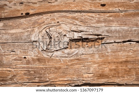 Old wooden texture background. Centenary brown wood texture, old wood texture ready for design. Top view. 