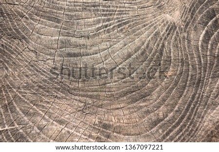 Old wooden texture background. Centenary brown wood texture, old wood texture ready for design. Top view. 