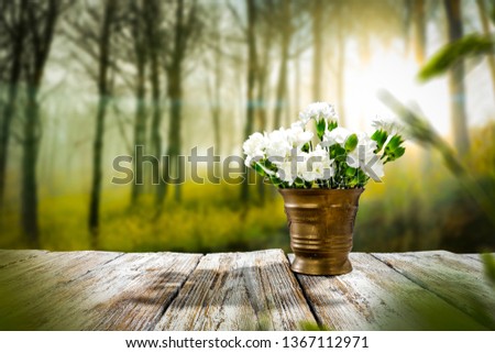 Desk of free space and spring background of forest. 
