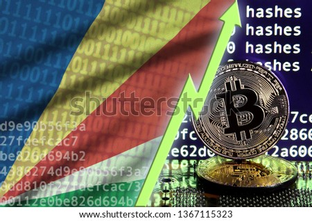 Seychelles flag and rising green arrow on bitcoin mining screen and two physical golden bitcoins