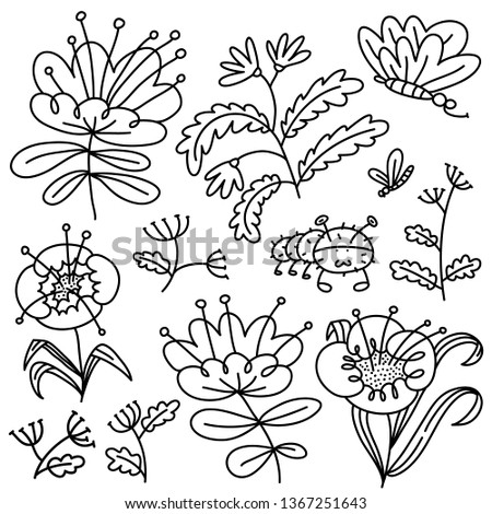 Floral set. Isolated flowers and leaves. Vector illustration with natural objects and plants and butterfy. Summer and spring design elements in doodle sketchy fun style