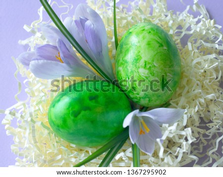 two green eggs with crocus in paper nest on pastel background. happy easter. easter greeting card