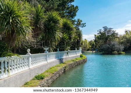 Russia city of Sochi Adler district park Southern cultures. Pond with reflection of trees.. Royalty-Free Stock Photo #1367344949