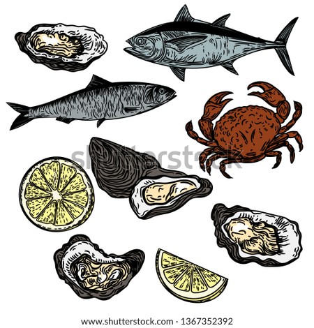 Vector hand drawn set of tuna, sardine, crab, oysters and lemons isolated on white.