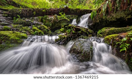 Small Waterfall in the Rain Forest, Color Image