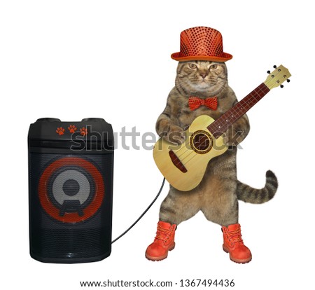 The cat in a red hat, a bow tie and boots is playing the acoustic guitar near the sound speaker. White background.