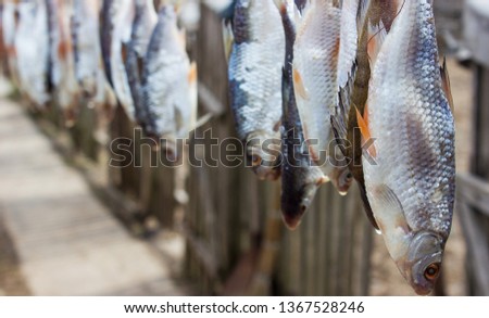 salted fish dry under sun in village, food background