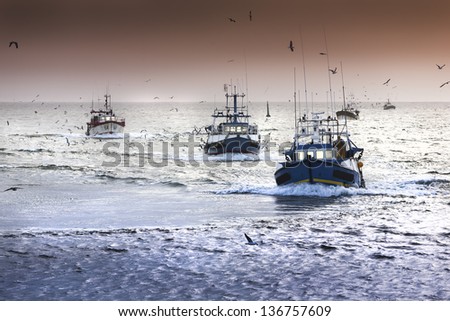 Tired fishing fleet getting back, France near the Atlantic ocean Royalty-Free Stock Photo #136757609