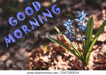 Good morning photo greeting card (postcard), floral sunny spring background