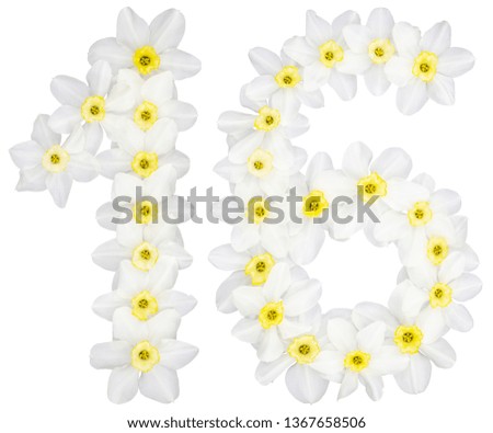 Numeral 16, sixteen, from natural white flowers of Daffodil (narcissus), isolated on white background