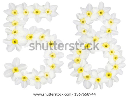 Numeral 58, fifty eight, from natural white flowers of Daffodil (narcissus), isolated on white background