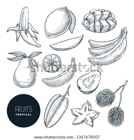 Bananas and other tropical exotic fruits. Vector sketch illustration. Hand drawn design elements and icons set. Natural tasty eating collection.