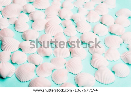 Summer composition with white seashells on the bright pastel green background. Beach holiday concept, flat lay, top view